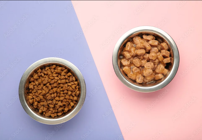 Granule vs. mokré krmivo pro kočky – co doporučují veterináři v roce 2026